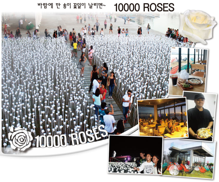 cordova-10000-roses.jpg